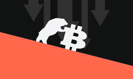 5 Things to Do in a Crypto Bear Market